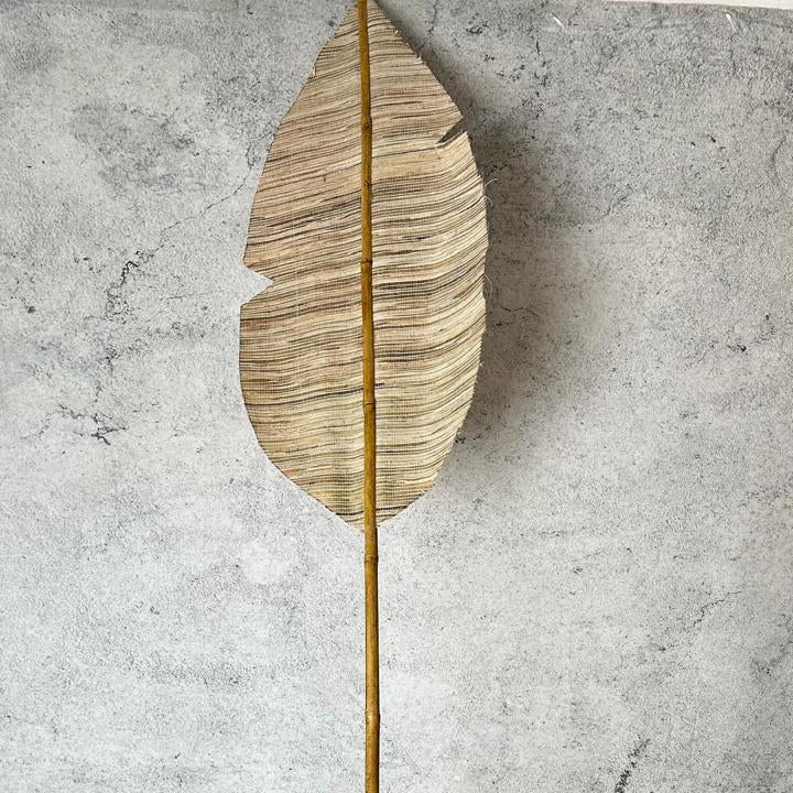Stick daun kipas