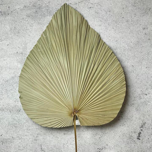 Stick Daun Palm